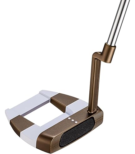 Amazon.co.jp: オデッセイ(ODYSSEY) 右用 パター Ai-ONE GIRAFFE